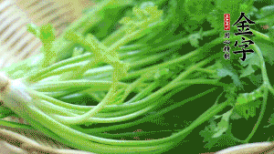 挑選鮮嫩的香菜，洗干凈后，處理成小段。